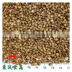 Roasted Buckwheat Organice Grains Wholesale thumbnail-1