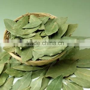 Laurel Leaf Soap thumbnail-1