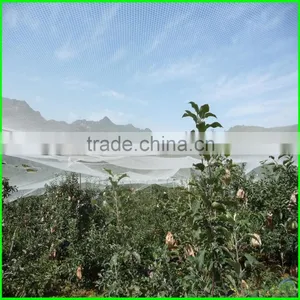 HDPE Anti Hail Protection Net Apple Tree Net thumbnail-2