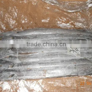 Ribbon FIsh thumbnail-1