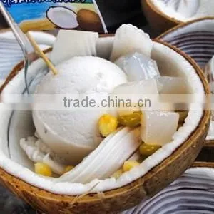 Coconut Milk Powder Min 60% Fat thumbnail-2