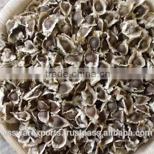 Best Supplier for Drumstick Seed thumbnail-5