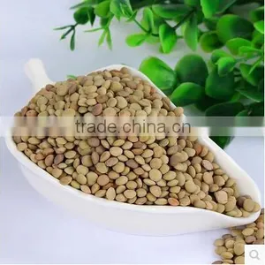 2015Crop Chinese Green Lentils thumbnail-1