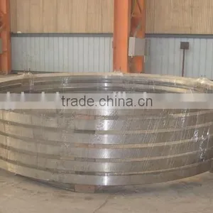 Forged Ring Rolled Carbon Steel Flange Not Casted Jiangyin thumbnail-1