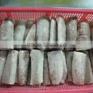 Frozen Saithe Loin thumbnail-1