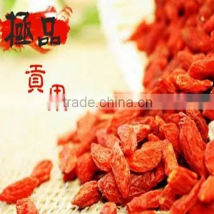 ISO 9001 Goji Berry thumbnail-4