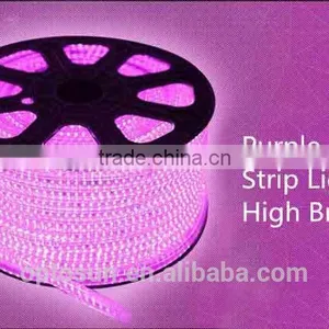 DIY LED Rope Light 110-220V IP67 Multiple Color LED Strip Light thumbnail-3