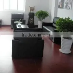 Zhangjiagang Thrive Imp. & Exp. Co., Ltd. company overview - view 2 thumbnail