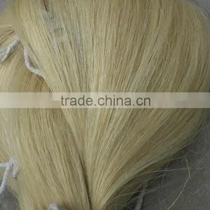 Natural Horse Tail Hair thumbnail-1