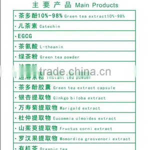 GMP Manufacture Supply Top Quality Green Tea Extract 95% Macha Powder thumbnail-4