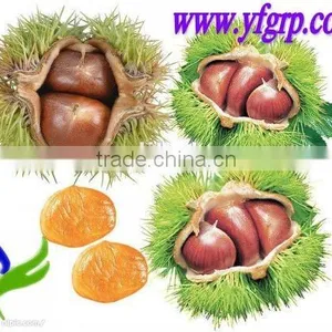 New Crop Organic Fresh Bulk Chestnuts Wholesale thumbnail-6