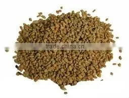 Fenugreek thumbnail-1