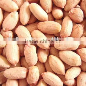 PEANUT KERNEL FROM CHINA thumbnail-1