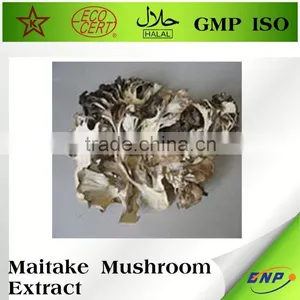 Signorina Mushroom Maitake Extract Powder thumbnail-2