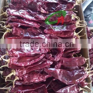 Paper Box Paprika Pods thumbnail-1
