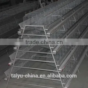 Poultry Farming Cages in Kenya thumbnail-3