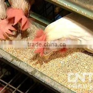 HJ 100-150kg/h Professional Industrial Automatic Animal Feed Pellet Machine HJ-N150B thumbnail-4
