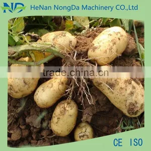 Popular Saled 20-35 Hp Potato Seeder thumbnail-5