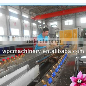 PP PE PVC WPC Skirting Board Production Line/WPC Profile Machine thumbnail-4