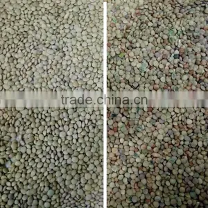 High Capacity Dal Optical Color Sorter in Agriculture thumbnail-5