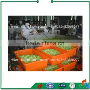 Advanced Sanshon STJ Box Vegetable And Fruit Dryer thumbnail-3