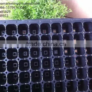 Black PS Material 105 Cells Blister Process Plastic Plant Nursery Seed Plug Trays for Propagation thumbnail-4