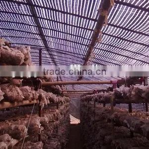 Plastic Film Products Mushroom Greenhouse Film for Agriculture thumbnail-4
