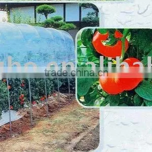 Green House thumbnail-1