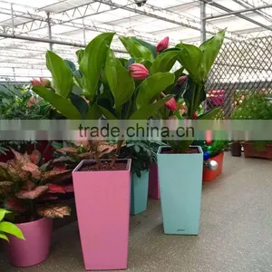 2016 New Garden Pot Garden Flower Pots Garden Planter Decoration Flower Panters thumbnail-5