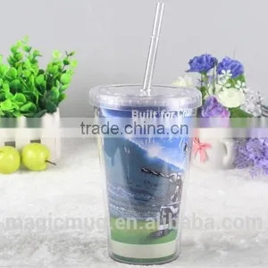 Double Wall pp Plastic Acrylic Insulated Tumbler With Straw and Lid thumbnail-2