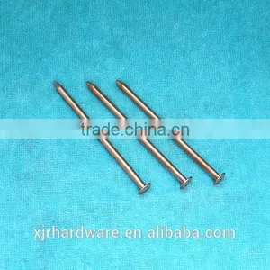Decorative Brass Nail thumbnail-1