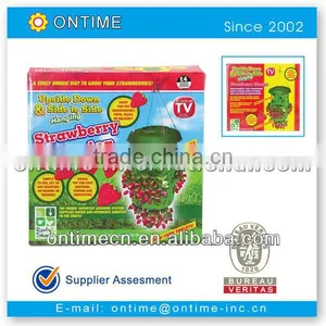 Strawberry Plastic Planter thumbnail-1