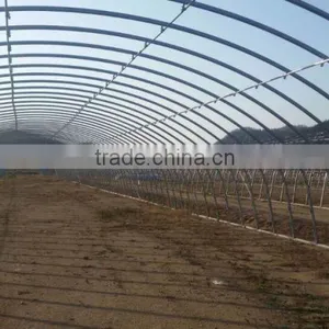 Professional Top Quality Industrial Film Greenhouse for Sale thumbnail-1