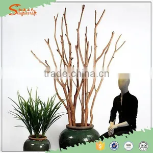 Leafless Tree Branches Tree Branches Without Leaves Tree Branches for Centerpieces thumbnail-1