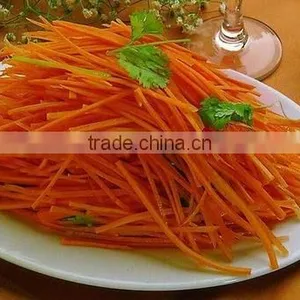 Chinese Fresh Carrots for Export thumbnail-5