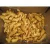 China Ginger thumbnail-1