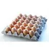 Sugarcane Pulp Biodegradable Egg Packaging thumbnail-1