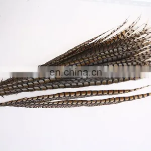 Best Quality 30-40cm Pheasant Feather thumbnail-3