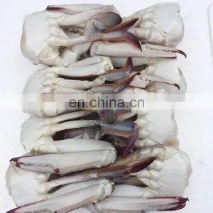 Wholesale Frozen Cut Blue Swimming Crab for Market thumbnail-2