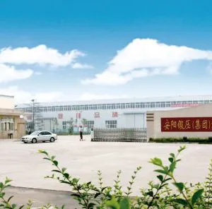 Anyang Forging Press ( Group) Machinery Industry Co., LTD. company overview - view 2 thumbnail