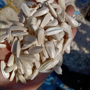 S1312 Hebei Shuangxing White Color Planting Sunflower Seeds thumbnail-2