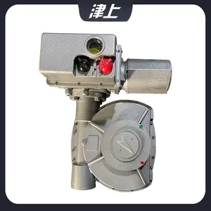 B+RS250/K28Z Angle Stroke Actuator thumbnail-3