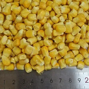 Pure Nature Organic Freeze Dried Sweet Corn thumbnail-3