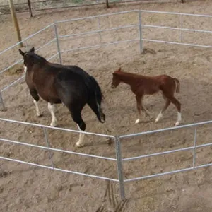 Hot Dip Galvanized Steel Horse Fence With PVC and Wood Frames Heat Treated for Farms Gardens Security 3D Modeling Available thumbnail-1
