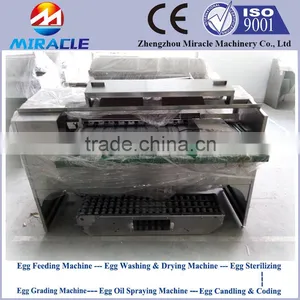 Egg Process Line, Grading and Sorting Machine of Eggs, Egg Processing Grading Machinery thumbnail-1