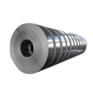 304 SS Spring Strip 1/4H 1/2H 3/4H FH Temper 0.1mm 0.2mm 0.3mm 0.5mm Elastic Grade thumbnail-1