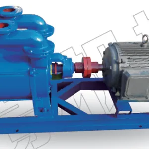 SY & 2SY Series Liquid Ring Vacuum Pumps thumbnail-1