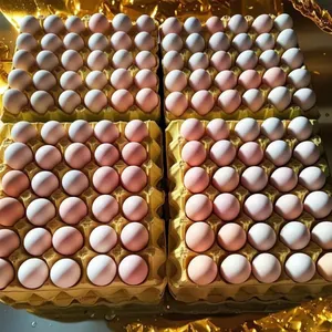 Fresh Eggs thumbnail-1