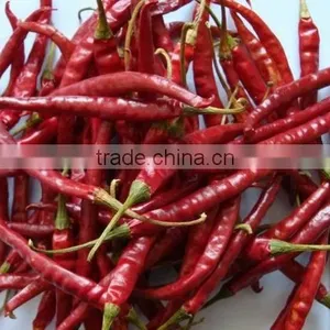 Dried Xian Chilli thumbnail-3