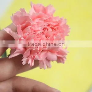 Exquisite Factory Direct Flower Head Carnation thumbnail-3